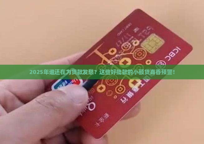 好批款的小额贷款有哪些
