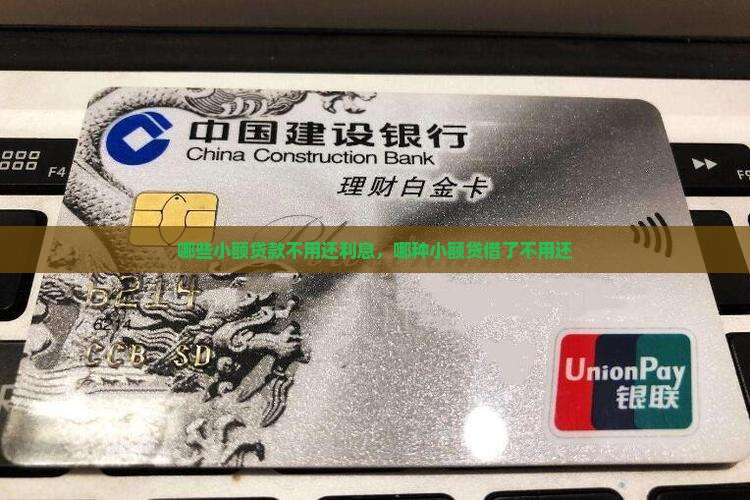 哪些小额贷款不用还利息
