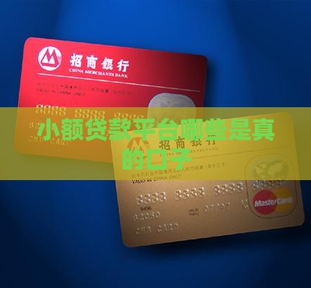 小额贷款哪些是真的