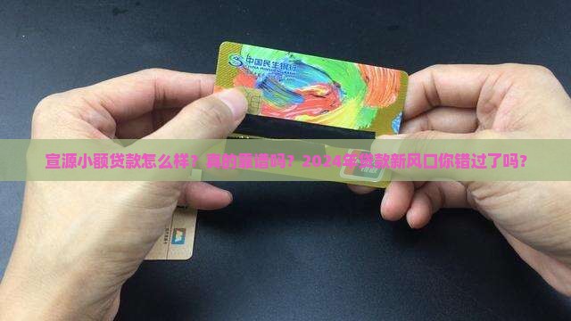 宣源小额贷款怎么样