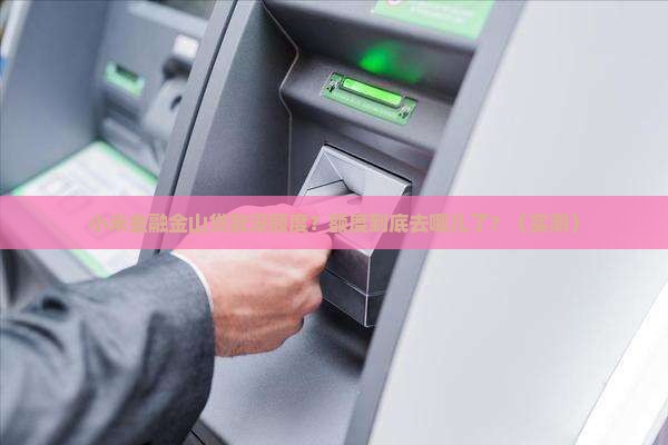 小米金融金山贷款没额度