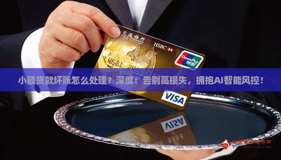 小额贷款坏账怎样处理