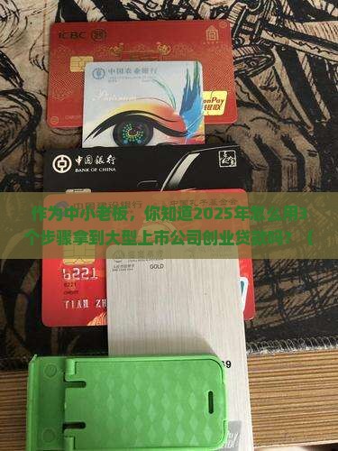 大型上市公司创业贷款