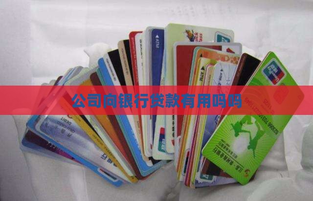 公司向银行贷款有用吗吗