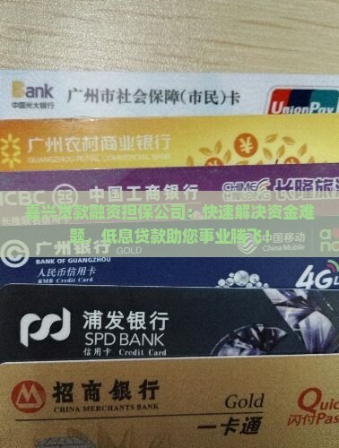 嘉兴贷款融资担保公司