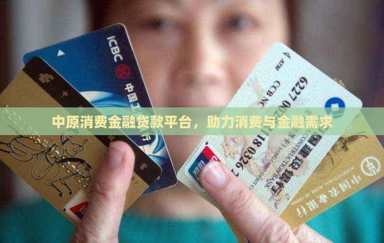 中原是什么贷款平台啊
