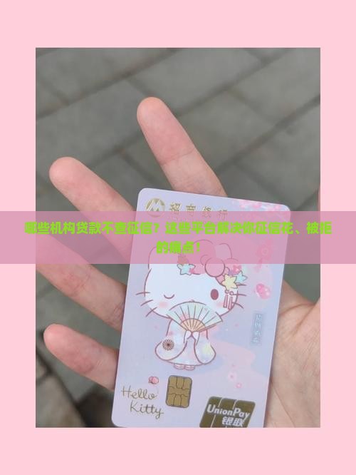 哪些机构贷款不查征信