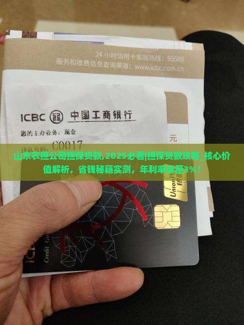 山东农担公司担保贷款