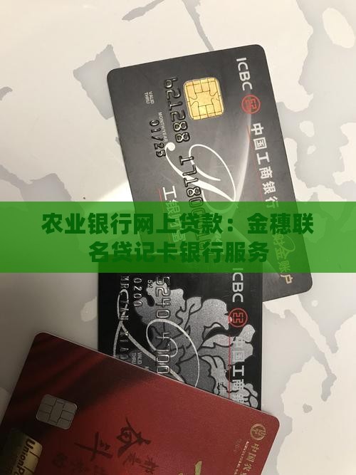 农业银行qq网上贷款吗