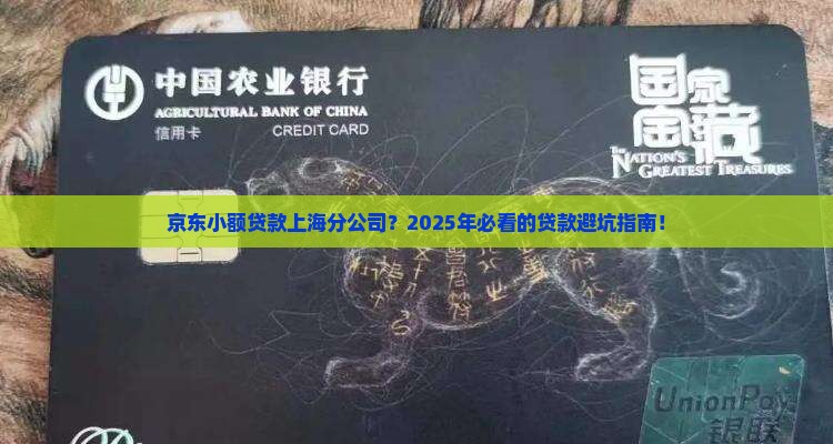 京东小额贷款上海分公司