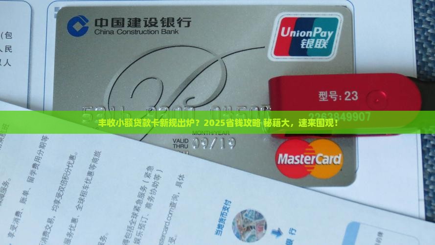 丰收小额贷款卡重新办法