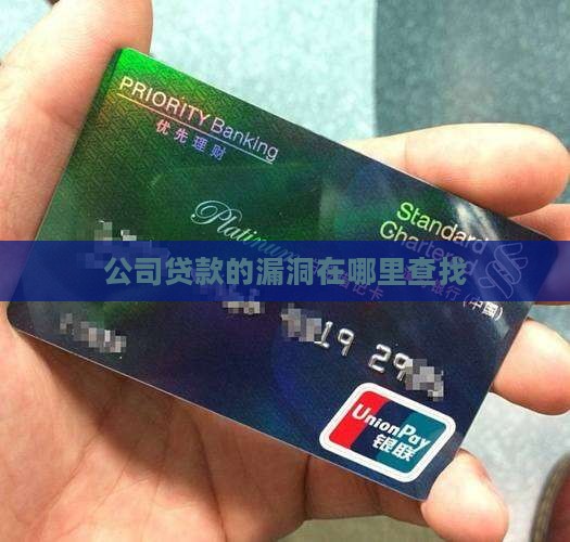 公司贷款的漏洞在哪查