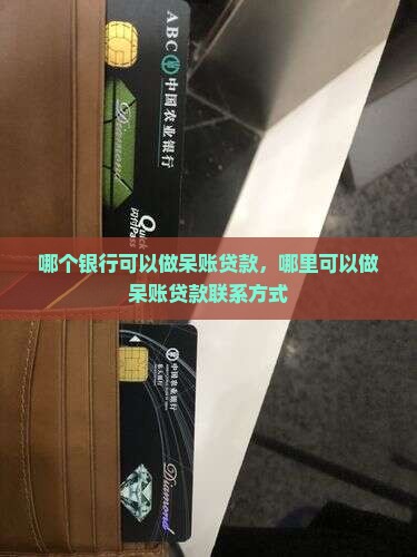 哪个银行可以做呆账贷款