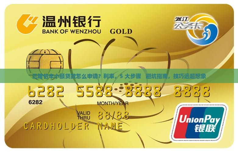 三隆怡丰小额贷款