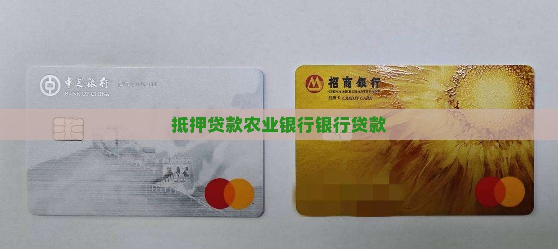 农业银行抵押贷款
