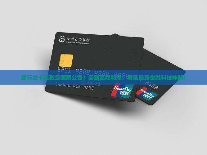 建行龙卡贷款是哪家公司