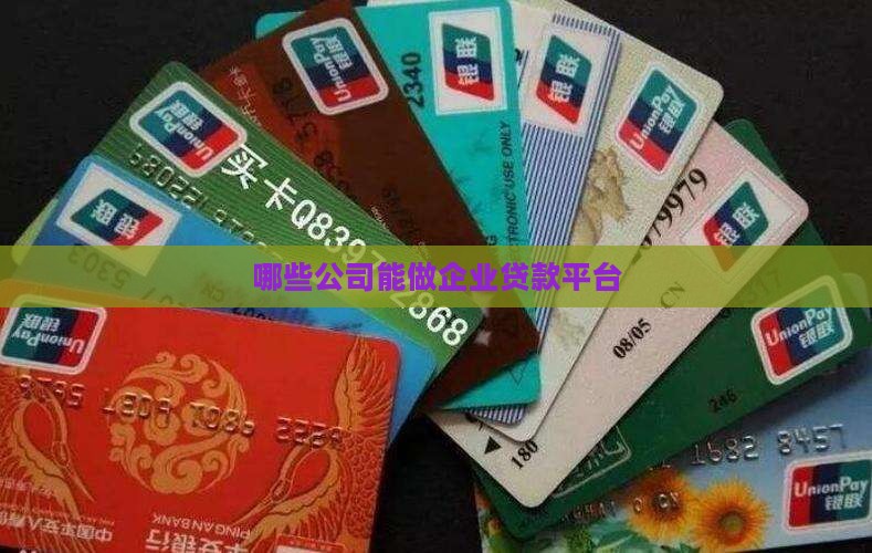 哪些公司能做企业贷款