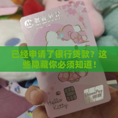 已经申请了银行贷款