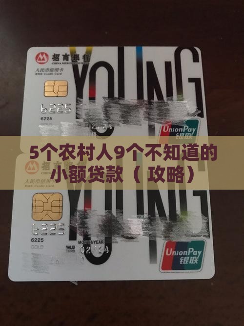 农村小额贷款前景分析