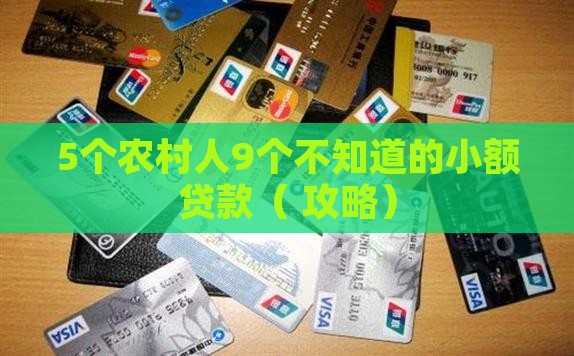 农村小额贷款前景分析