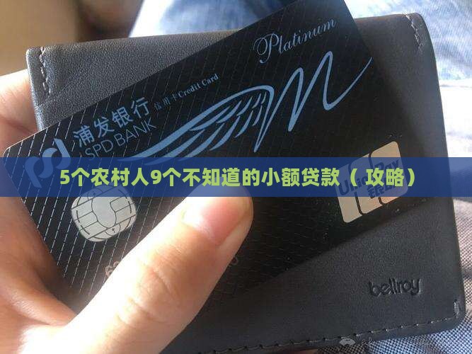 农村小额贷款前景分析