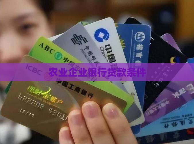 农业公司的贷款条件是