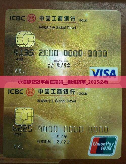 小海豚贷款平台正规吗