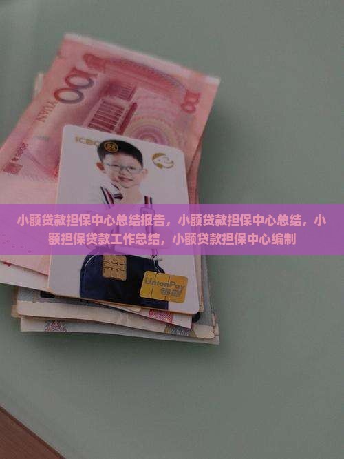 小额贷款担保中心总结