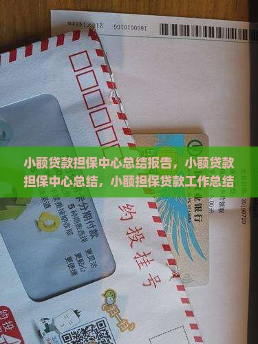 小额贷款担保中心总结