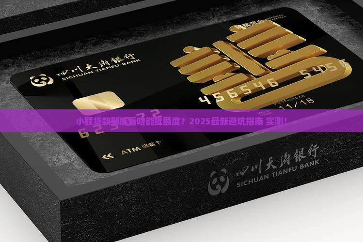 小额贷款看什么批额度
