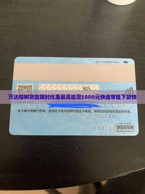 万达普惠榕树贷款