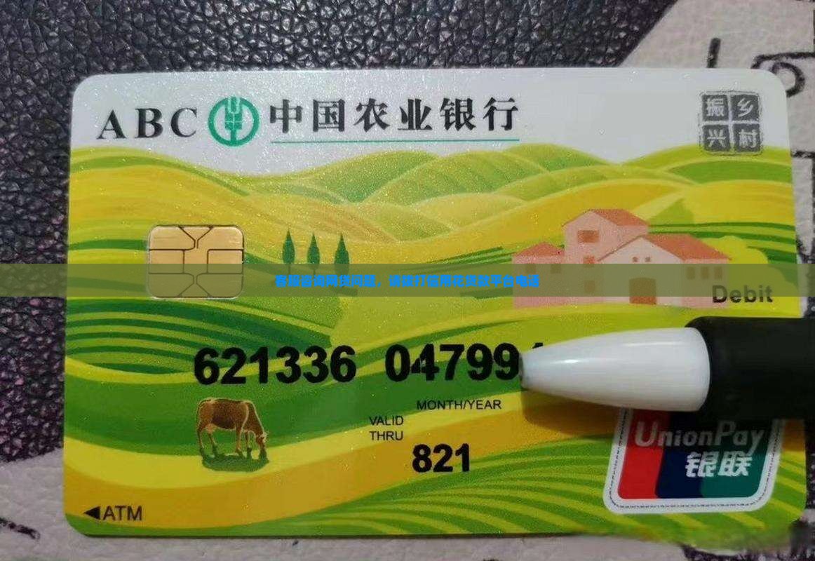 信用花贷款平台客服电话