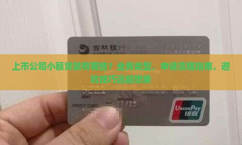 上市公司小额贷款有哪些