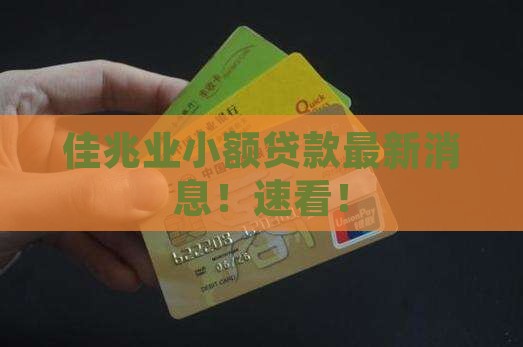 佳兆业小额贷款