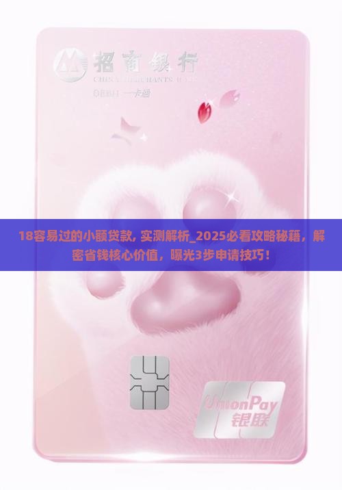 18容易过的小额贷款