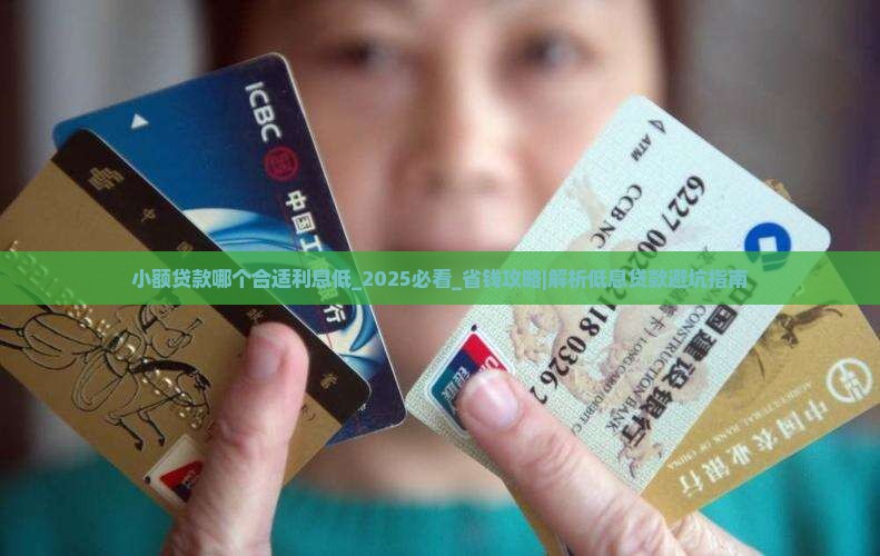 小额贷款哪个合适利息低