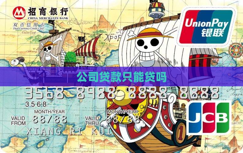 公司贷款只能法人贷吗