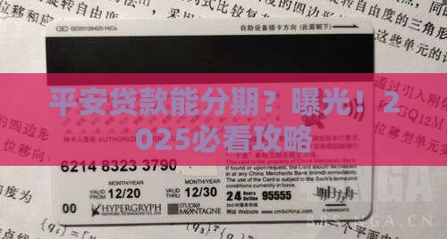 平安普惠贷款可以分期吗
