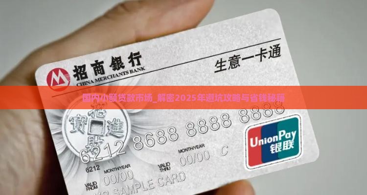 国内小额贷款市场