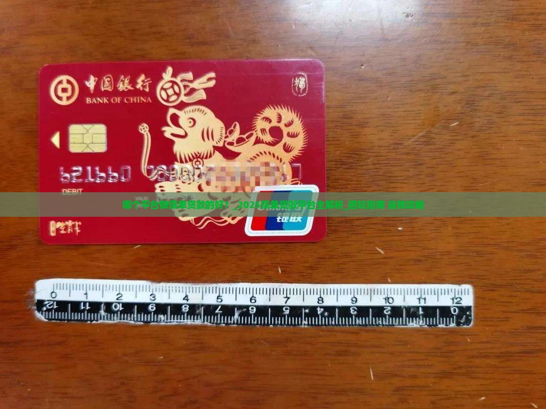 哪个平台做保单贷款的好