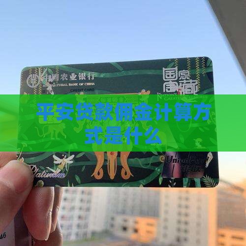 平安普惠贷款算佣金吗