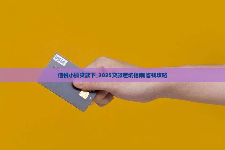 信悦小额贷款下