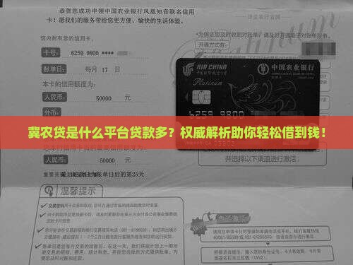 冀农贷是什么平台贷款多