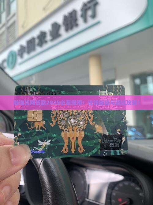 啪啪贷网贷款