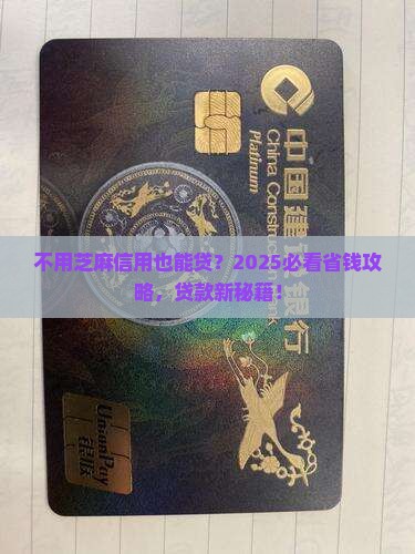 不用看芝麻信用的贷款