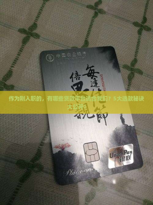 作为刚入职的，有哪些贷款平台适合我们？5大选款秘诀大公开！