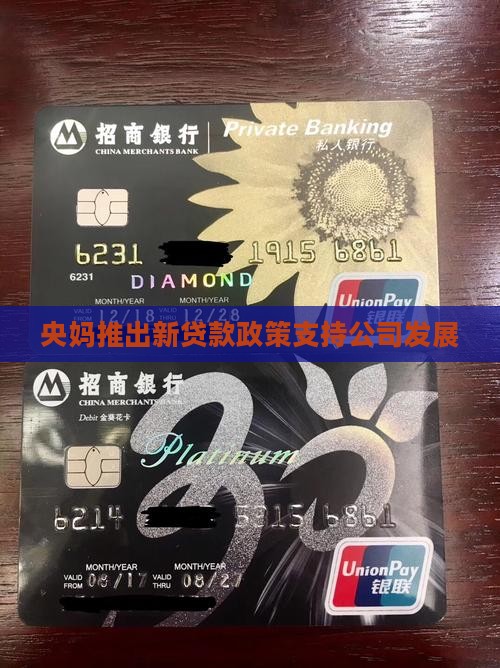 央妈推出新贷款政策支持公司发展