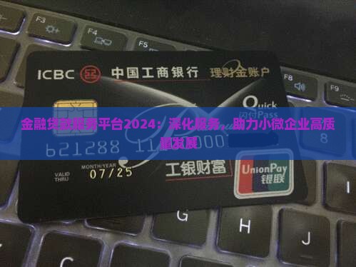 金融贷款服务平台2024：深化服务，助力小微企业高质量发展