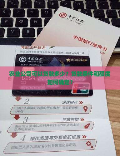农业公司可以贷款多少？贷款条件和额度如何确定？