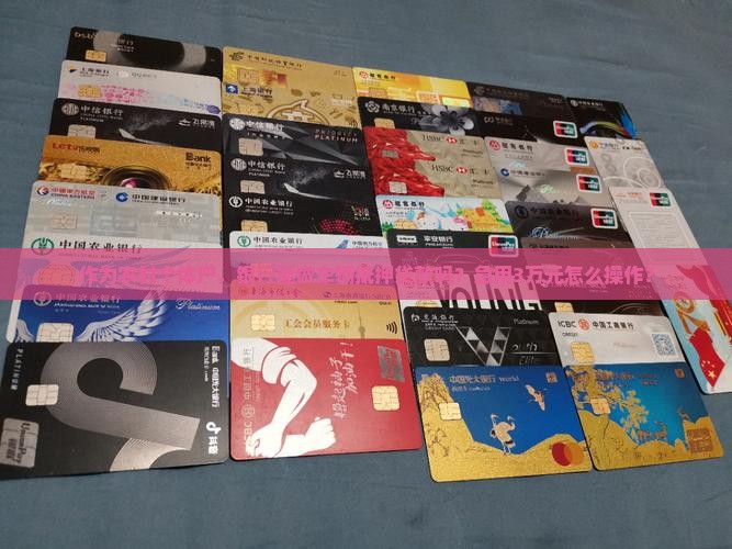 作为农村个体户，银行能做车辆抵押贷款吗？急用3万元怎么操作？